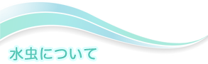 水虫について